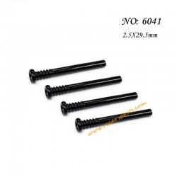 SCY-16201 Spare Parts Screw 2.5X29.5mm 6041