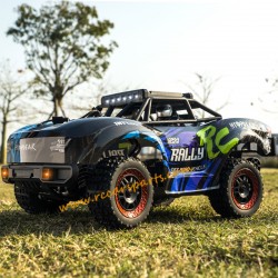 SCY 18103 1/18 RC Car