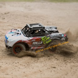 Suchiyu 18103 Short Truck