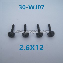 XinleHong 9135 1/16 4WD RC Car Parts Locknut 2.6X12 30-WJ07
