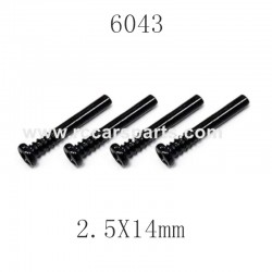 SCY-16101 RC Car Parts Screw 2.5X14mm 6043