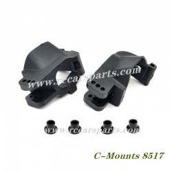 RC Buggy DBX 07 ZD Racing C-Mounts 8517
