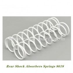 RC Buggy DBX 07 Car Parts Rear Shock Absorbers Springs 8618