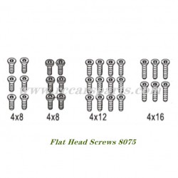 RC Buggy DBX 07 Parts Flat Head Screws 8075