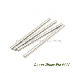 ZD Racing DBX 07 1/7 4wd Lower Hinge Pin 8534