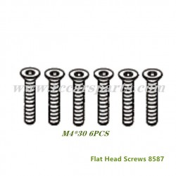 ZD Racing DBX 07 1/7 4wd Flat Head Screws 8587