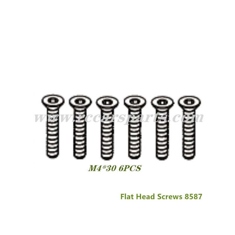 ZD Racing DBX 07 1/7 4wd Flat Head Screws 8587